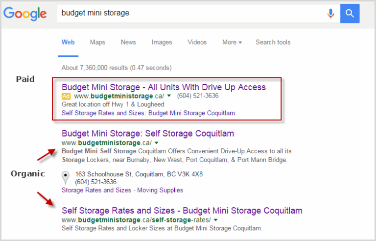 Unlocking the Power of Authority Domains: Building Your Online Empire