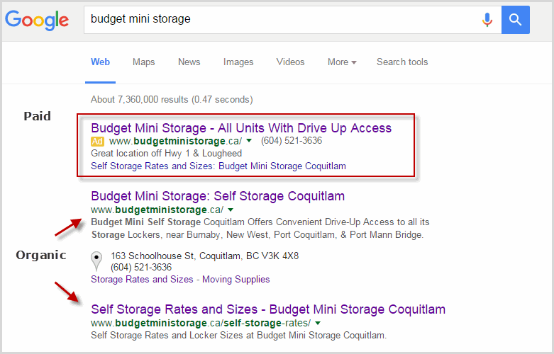 Unlocking the Power of Authority Domains: Building Your Online Empire